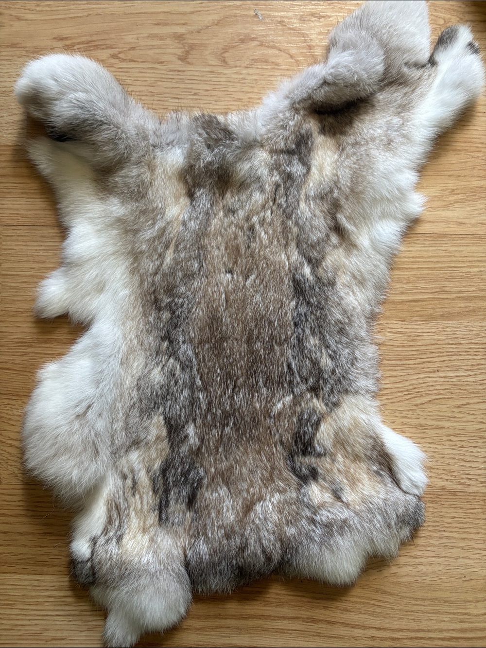 B0194 rabbit pelt